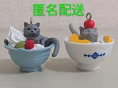 ねこcafe7 ねこcafe8 丼ぶりネコちゃんセット