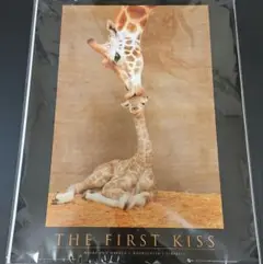 THE FIRST KISS キリンの親子 ポスター