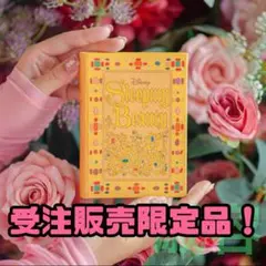 しまむら　kaho ブック型アクセサリーケース　ディズニー　眠れる森の美女