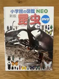 小学館の図鑑NEO【新版】昆虫 DVD付き