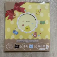 おたんじょうきろく 10ツキ10カものがたり マタニティ ベビー 記録