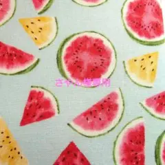 【夏限定】スイカ柄　水色　ブックカバー　文庫本サイズ　ハンドメイド