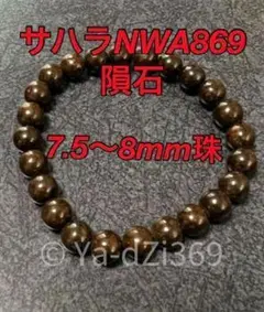 【稀少品】サハラNWA869隕石(コンドライト隕石)のブレス