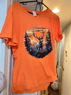 Item thumbnail for item 884b93cc-010f-4586-99e1-62d96b356bca