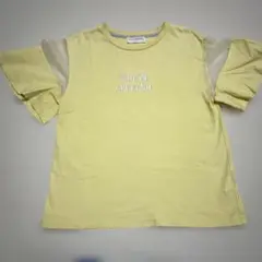 ポンポネット　Mサイズ