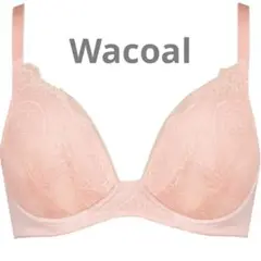 Item thumbnail for item f2eabf12-b02b-46e9-ac68-ea412e6cea72