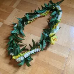レイ