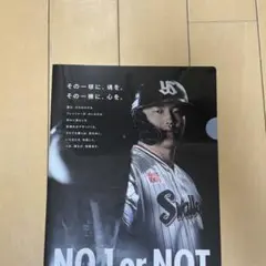 東京ヤクルトスワローズ 村上宗隆 クリアファイル