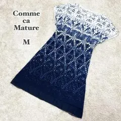 Item thumbnail for item a82c887f-2df0-454b-961d-e3d532c328dd