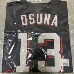 東京ヤクルトスワローズ　2024レディーDAYユニフォーム　オスナ