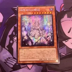 迷宮城の白銀姫 シークレット 絵違い　アジア