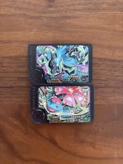 最安値　ポケモンフレンダ　ワンダーピック　メガリザードンＸ　フシギバナ　２枚