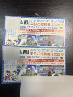 よみうりランドプールWAI 平日ご招待券