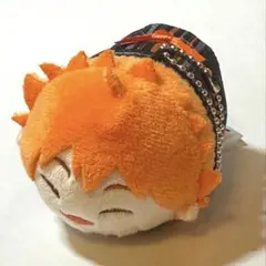 ハイキュー　もちもちマスコット もちマス　日向翔陽