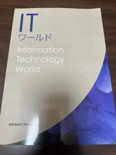【美品】【未使用】IT ワールド