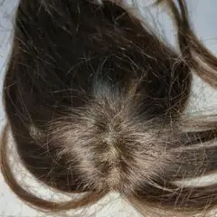 Item thumbnail for item b02b42da-c5bd-4bfe-b530-2f8f84a487b2