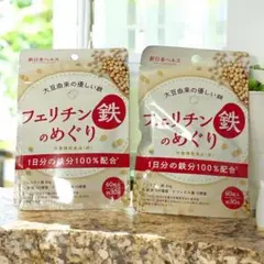 【鉄分不足に✨】鉄　ビフィズス菌　葉酸　亜鉛サプリメント　６０粒　2袋セット