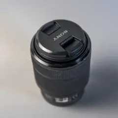 Item thumbnail for item 527779d8-8ebb-4c0f-a811-95945261366e