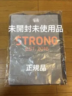 ZUMBA、STRONG 最新作！未開封正規品！3PKTEESの内グレー