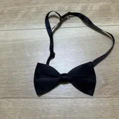 Item thumbnail for item 4453d071-5d4a-4f4a-93c0-3418d98c637f