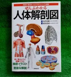 ぜんぶわかる人体解剖図 系統別・部位別にわかりやすくビジュアル解説