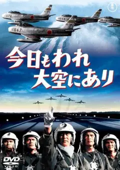 【新品未開封】今日もわれ大空にあり　DVD