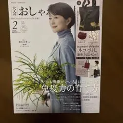 大人のおしゃれ手帖 2023年2月号