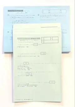 SAPIX ニューイヤーサピックス 正月特訓 算数 NYS/NYX-01～04