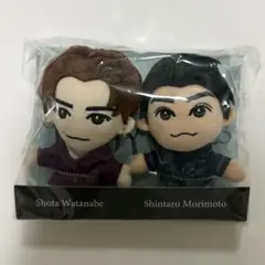 【新品未開封】DREAMBOYS ぬいぐるみ 渡辺翔太 森本慎太郎