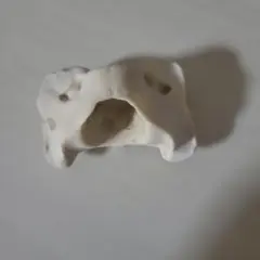 脊椎 骨の形 置物