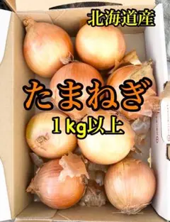 玉ねぎ 北海道産 1キロ以上 Mサイズ 正規品