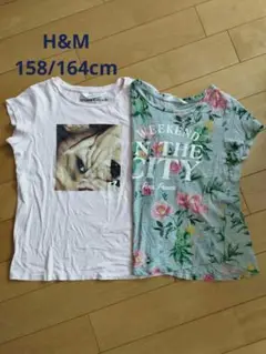 H&M Tシャツ２枚組 158/164cm アリアナグランデ