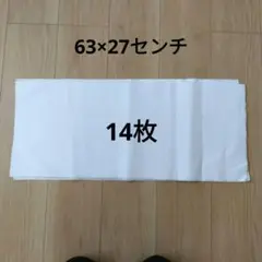 Item thumbnail for item 10012c2b-95f7-405a-9e6e-20043f17ca33