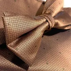Item thumbnail for item 02307518-e6a9-43fb-aa1d-177cd28007ce