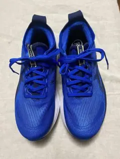 Item thumbnail for item 7166526e-e5d8-4b0d-bb3d-6b2d564e8af4