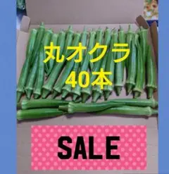 丸オクラ 40本