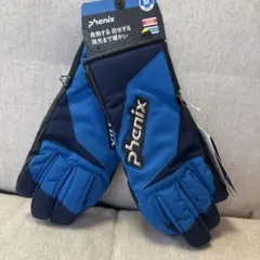 Phenix DEMO TEAM Gloves Mサイズ ブラックネイビー