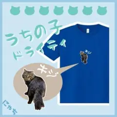うちの子グッズ【ドライTシャツ】 オリジナル 吸汗速乾 写真 プリント 猫 犬