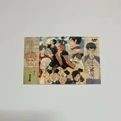 ハイキュー 烏野 音駒 青城 梟谷 白鳥沢 ステッカー