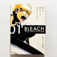【初版・状態良好・24時間以内の爆速発送！】BLEACH 1巻　コンビニコミック