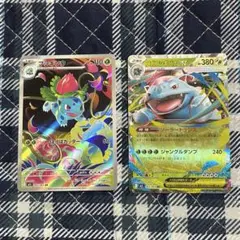 ポケカ　二枚