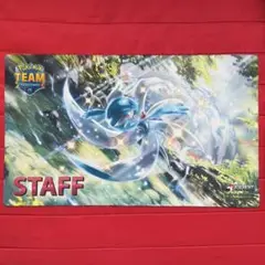 【未使用】メガサーナイト　プレイマット　2015 PLAY! 希少【海外限定】2015 PLAY! メガサーナイト プレイマット（2025