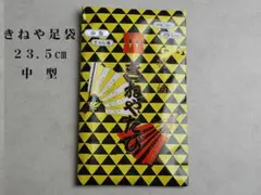 Item thumbnail for item 2ace4b7c-990d-4fe4-8b19-47736055f803