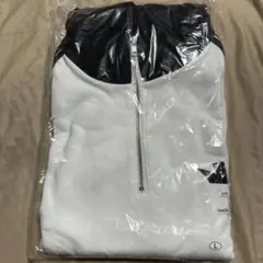 Item thumbnail for item 91c44c88-de55-4c2c-a5b9-0efb436664fe