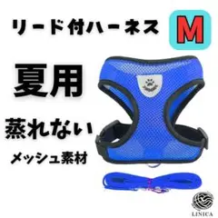 Item thumbnail for item bc391ac9-c0c6-45f7-ba62-7b93157d30d7