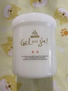 トリプルA ゲルアンドゲル 500g