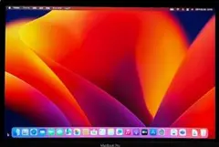 美品♪〜Apple MacBook Pro シルバー　可動品displayのみ