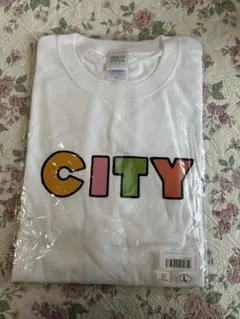 あらゐけいいち　CITY tシャツ Lサイズ　未開封　日常　アニメ　モーニング