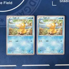 XYF コダック ふむ 2枚