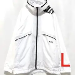 Item thumbnail for item 0014bada-b3bf-4a25-9db4-3912f4ace7d9